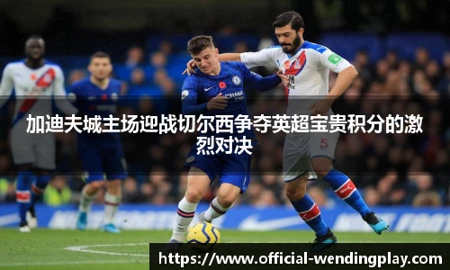 加迪夫城主场迎战切尔西争夺英超宝贵积分的激烈对决